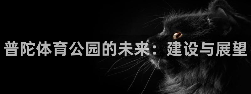 普陀体育公园的未来：建设与展望