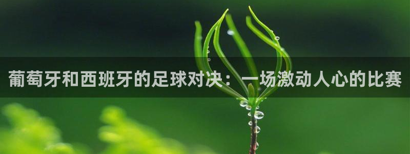 葡萄牙和西班牙的足球对决：一场激动人心的比赛