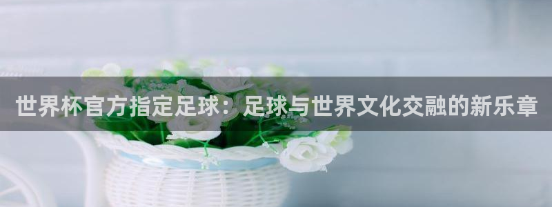 世界杯官方指定足球：足球与世界文化交融的新乐章