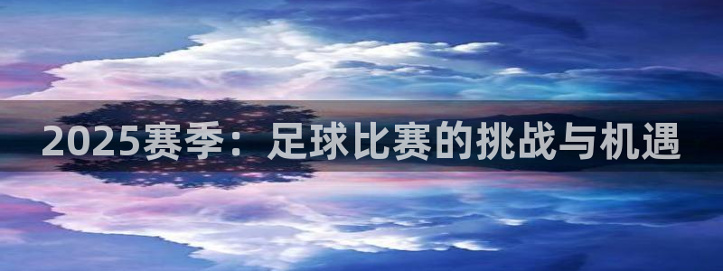 2025赛季：足球比赛的挑战与机遇