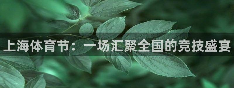 上海体育节：一场汇聚全国的竞技盛宴