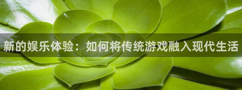 新的娱乐体验：如何将传统游戏融入现代生活