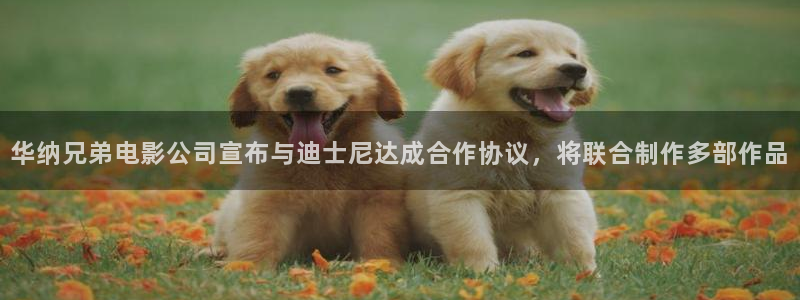 华纳兄弟电影公司宣布与迪士尼达成合作协议，将联合制作多部作品